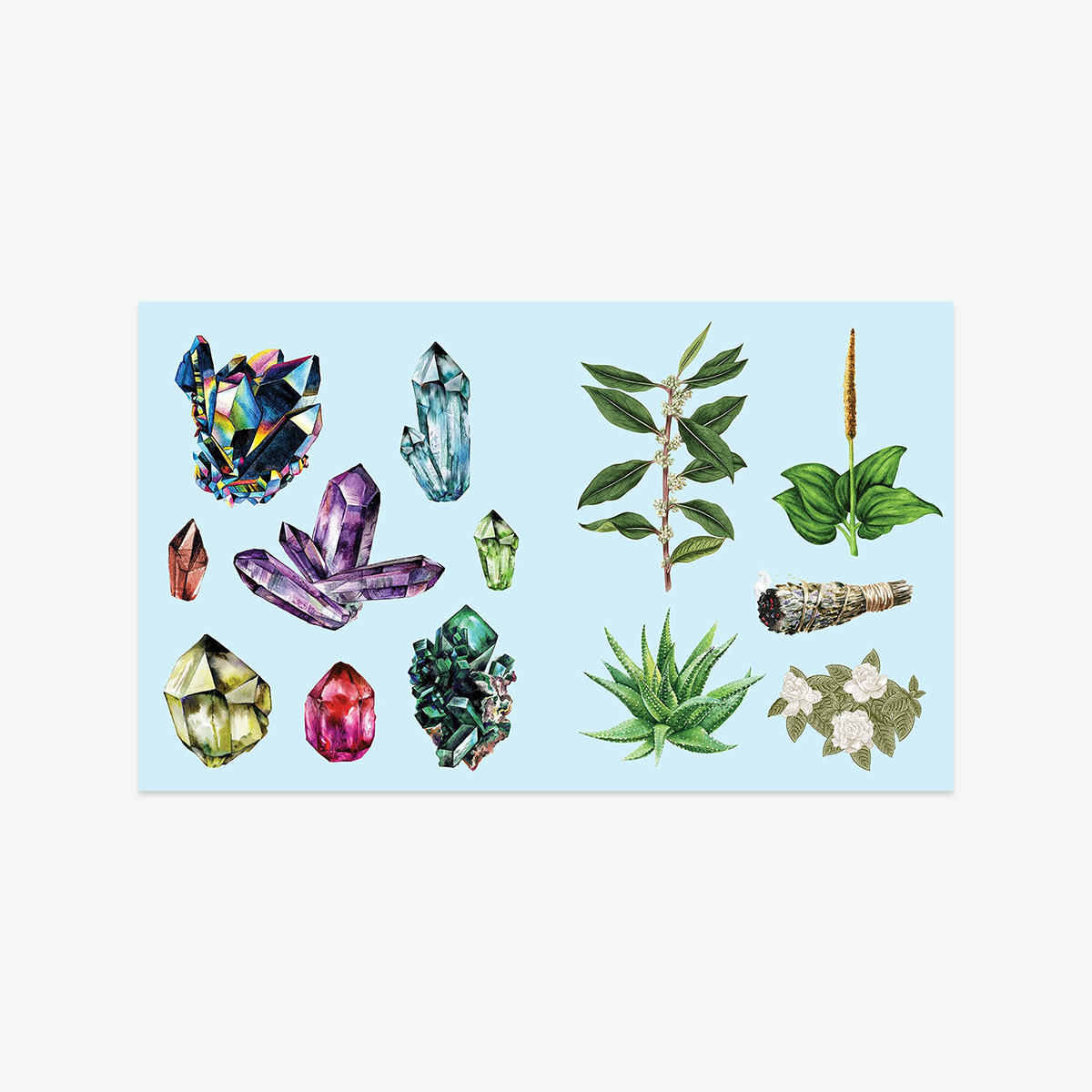 KLISTERMÆRKEBOG // APOTHECARY
