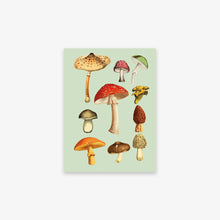 Translation missing: da.sections.featured_product.gallery_thumbnail_alt