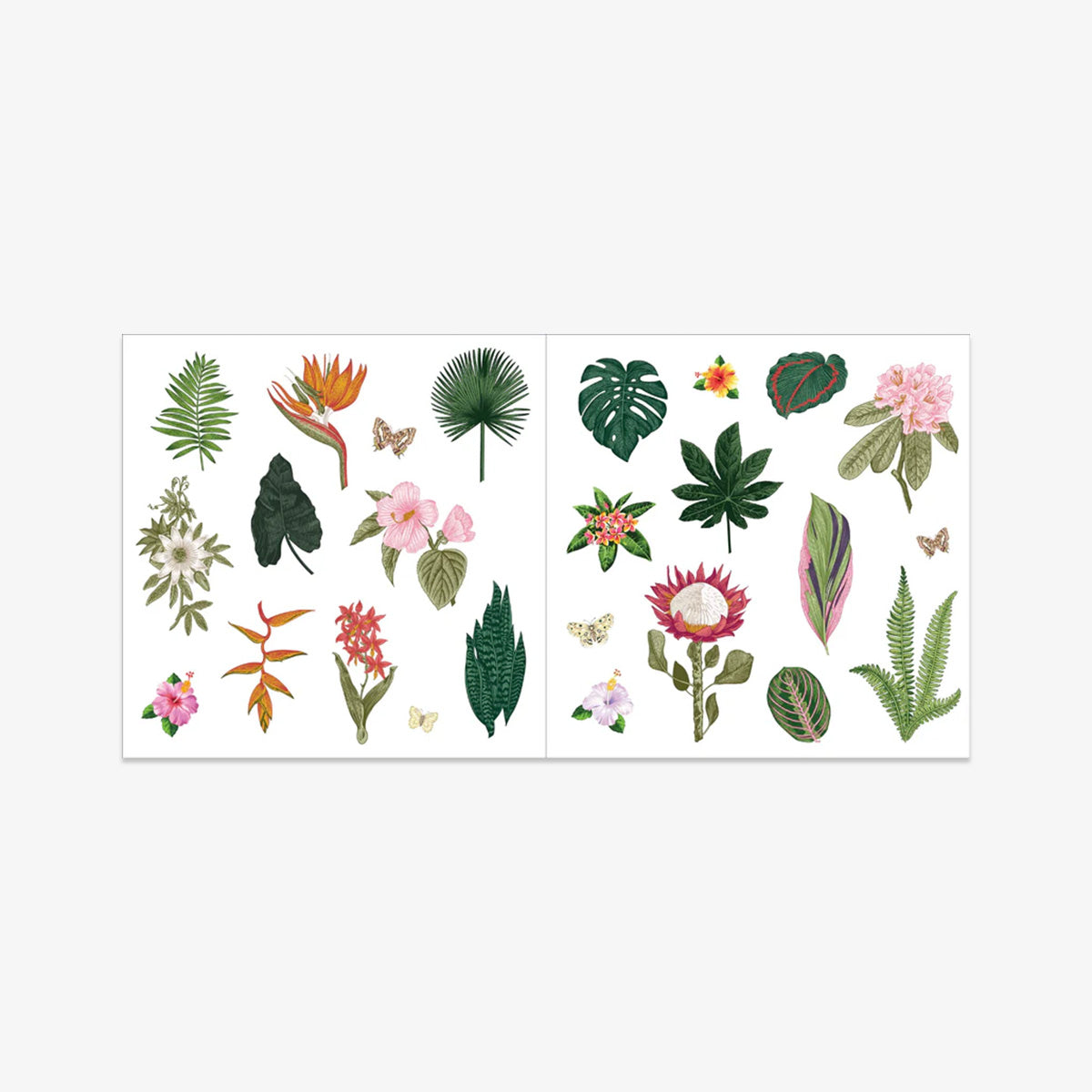 KLISTERMÆRKEBOG // BUNCHES OF BOTANICALS