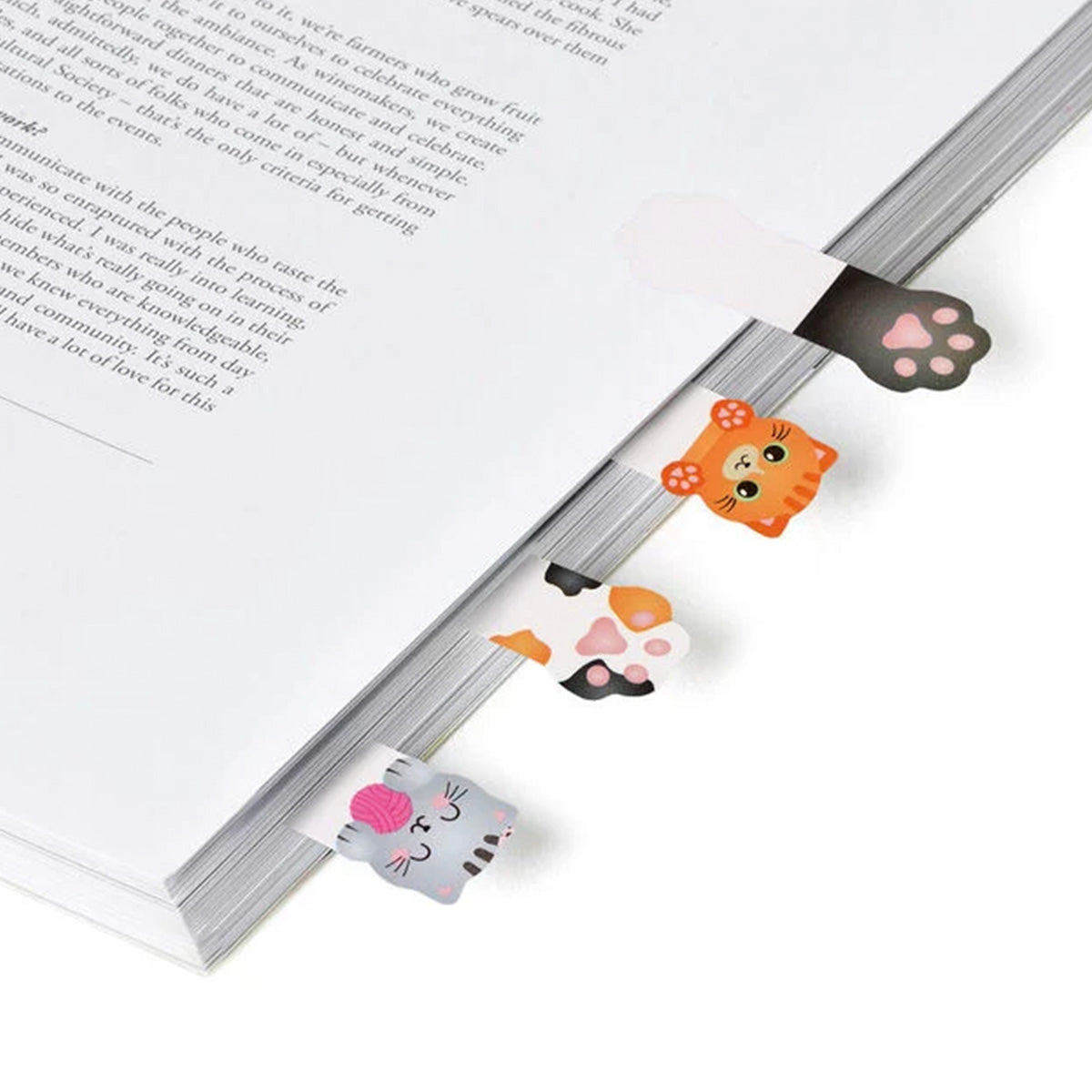 SIDEMARKØRER // SØDE KATTE