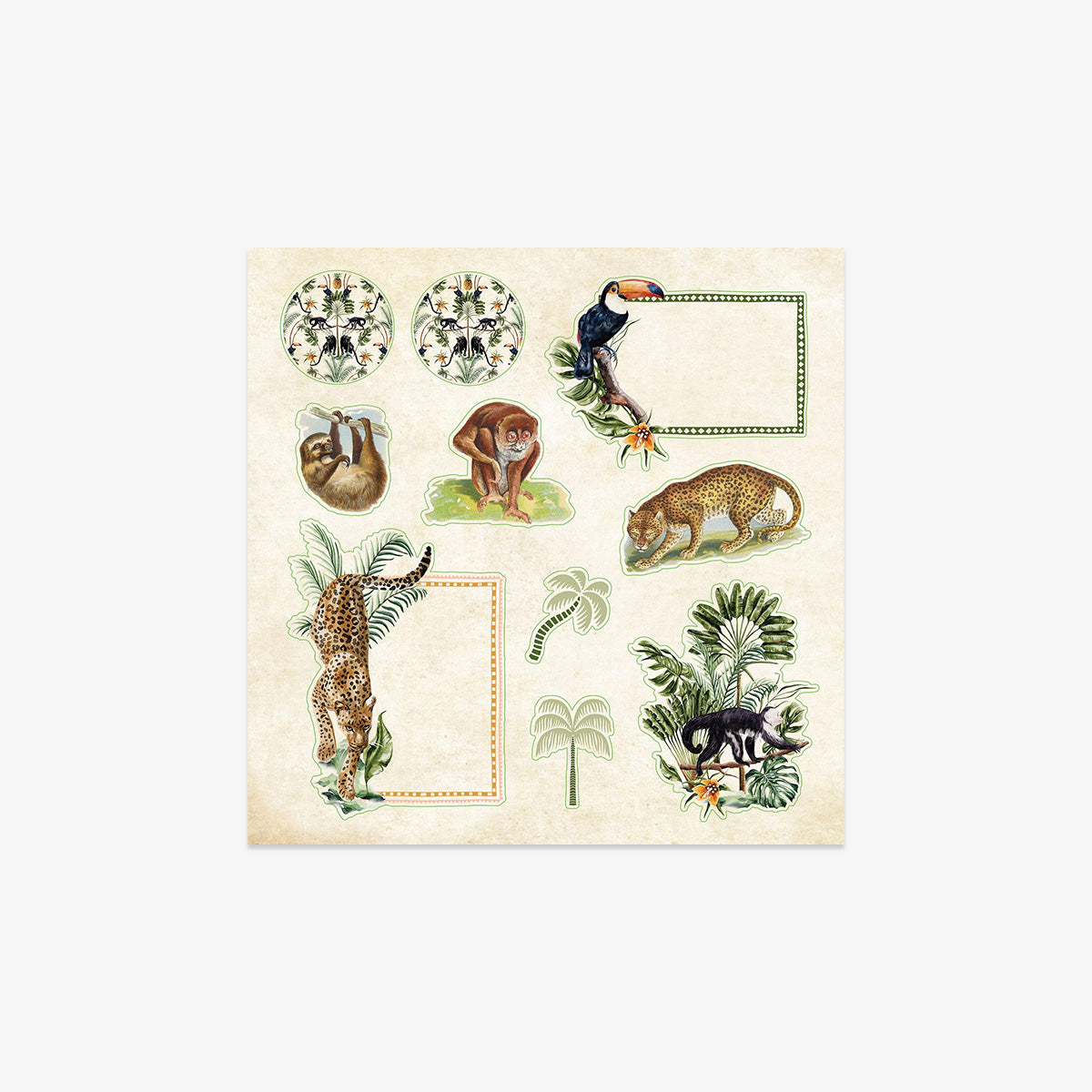 KLISTERMÆRKEBOG // ZOOLOGICAL EPHEMERA