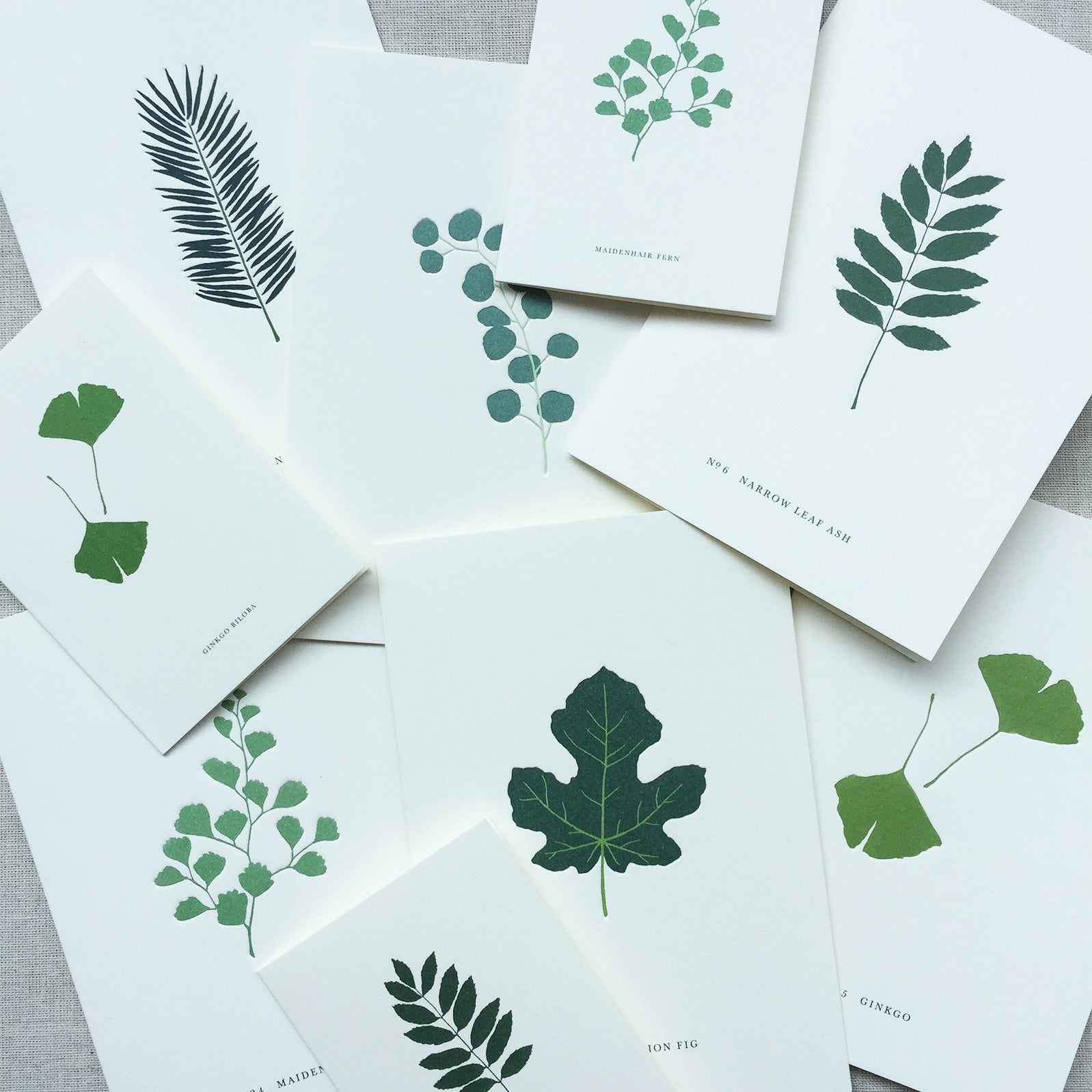 SMALL GREETING CARD // GINKGO