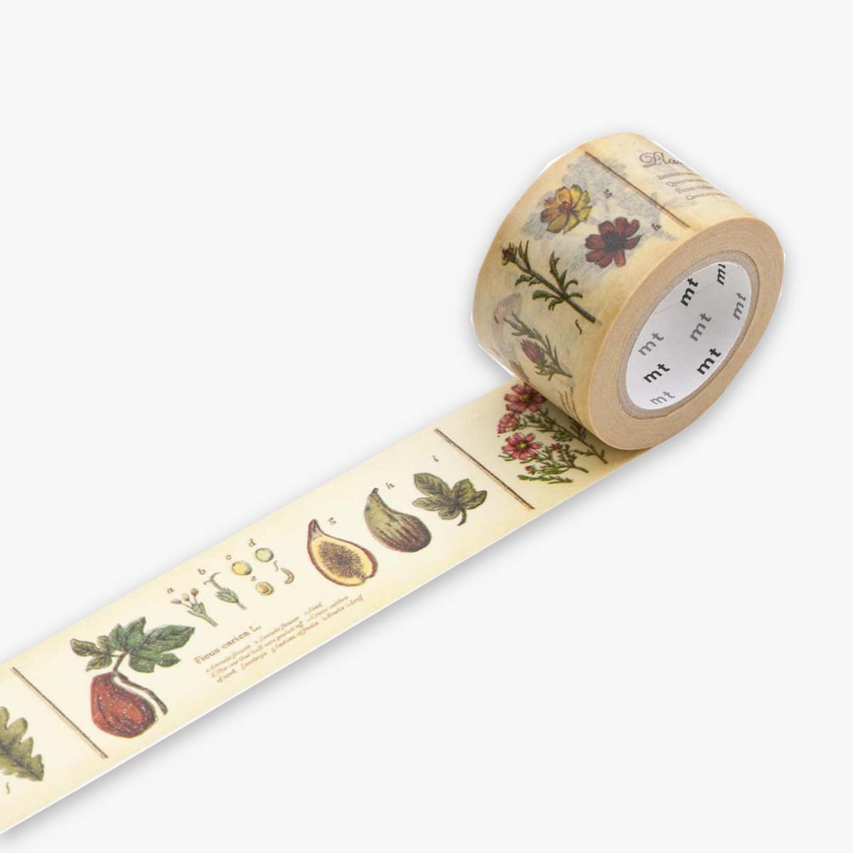 MT MASKING TAPE // PATTERN ENCYCLOPEDIA PLANT