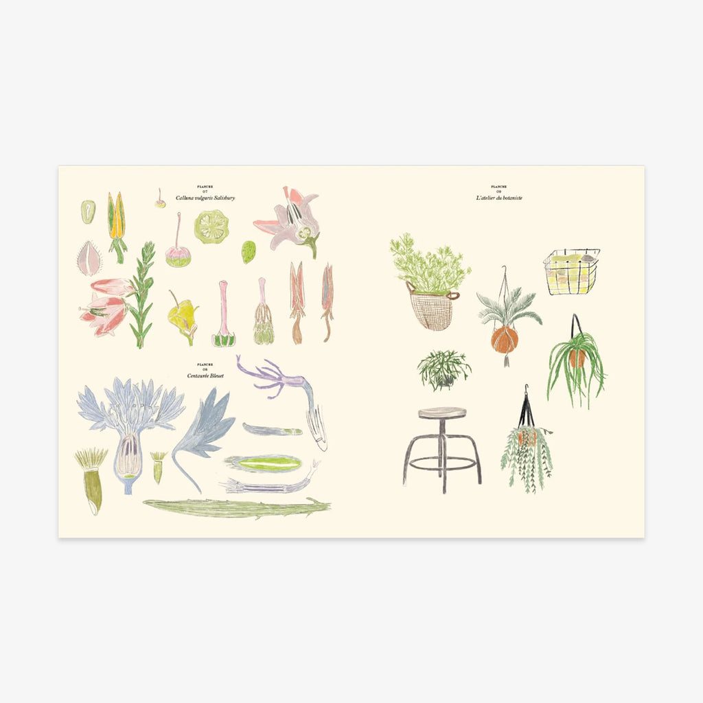COLOURING AND STICKER BOOK // LE JARDIN