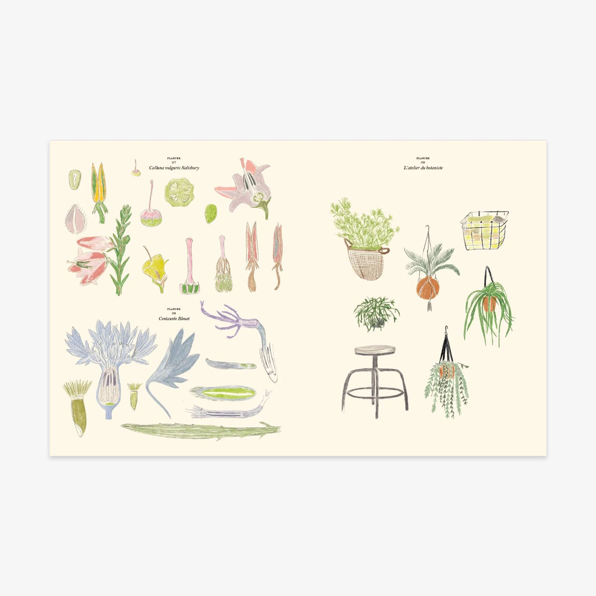 COLOURING AND STICKER BOOK // LE JARDIN