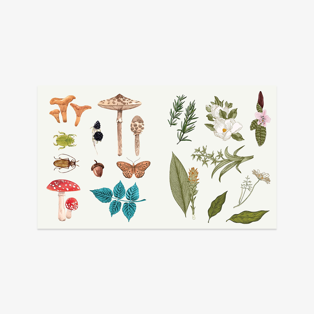 files/9781250279347_Apothecary_StickerStudio_02.png