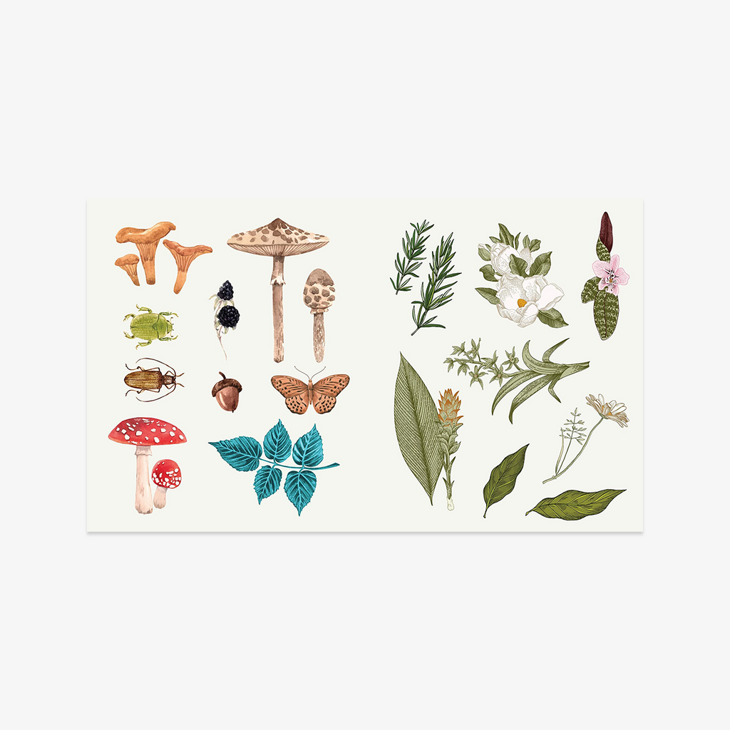 KLISTERMÆRKEBOG // APOTHECARY