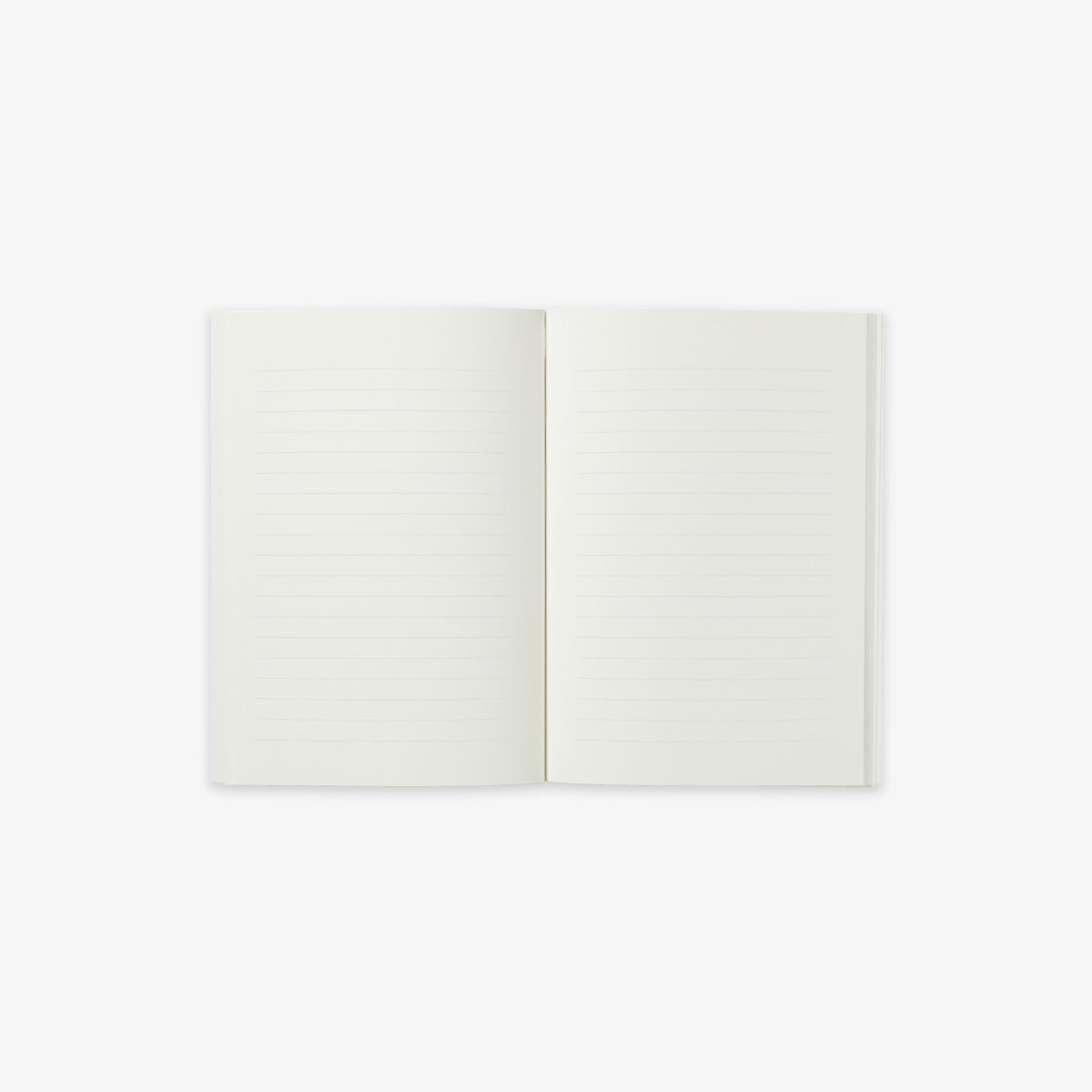 POCKET NOTEBOOK // CATS