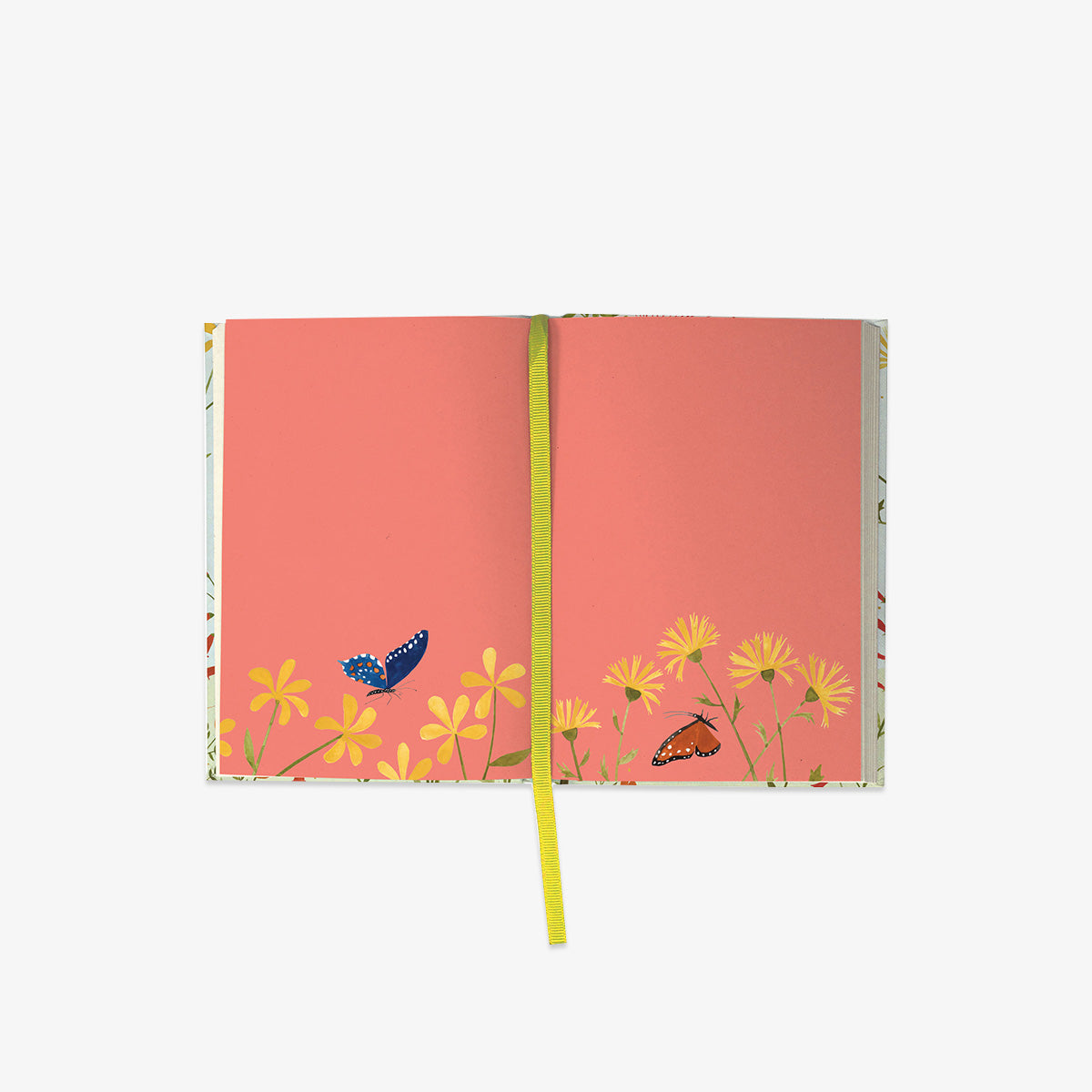 ILLUSTRERET JOURNAL // HUMMINGBIRD