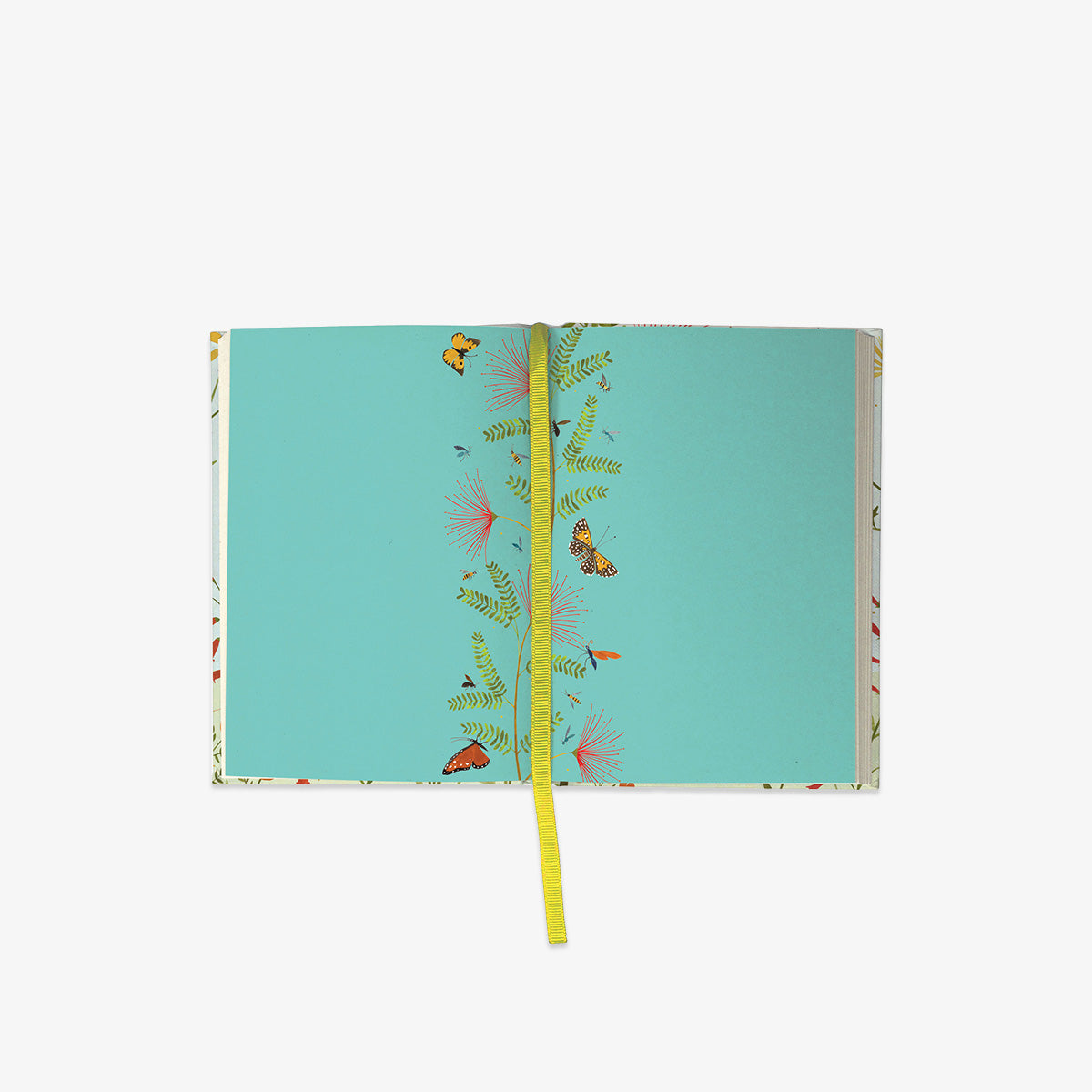ILLUSTRERET JOURNAL // HUMMINGBIRD