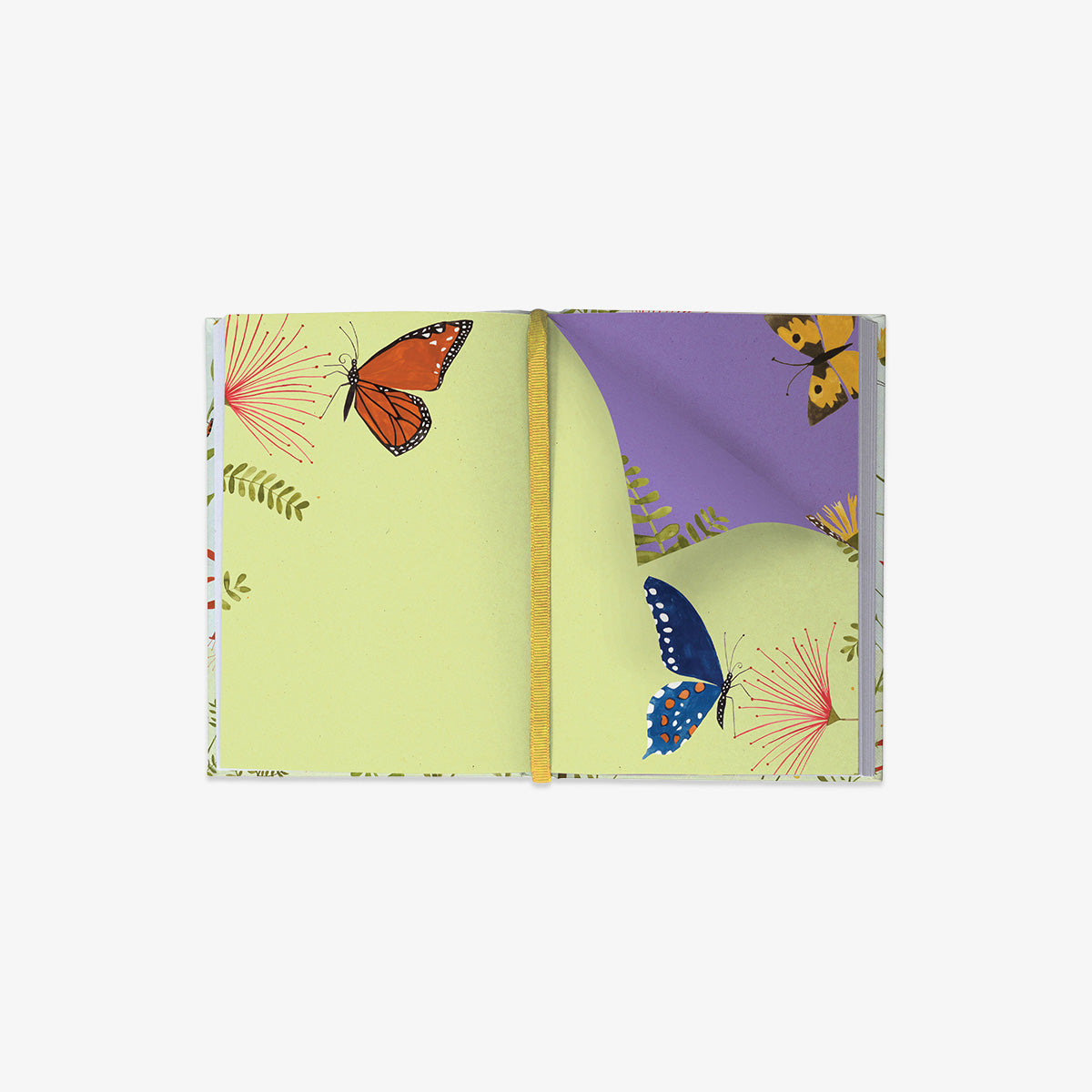 ILLUSTRERET JOURNAL // HUMMINGBIRD
