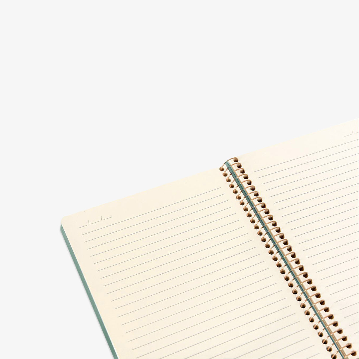 files/Kozo_A4Notebook_AloeVera_02.jpg