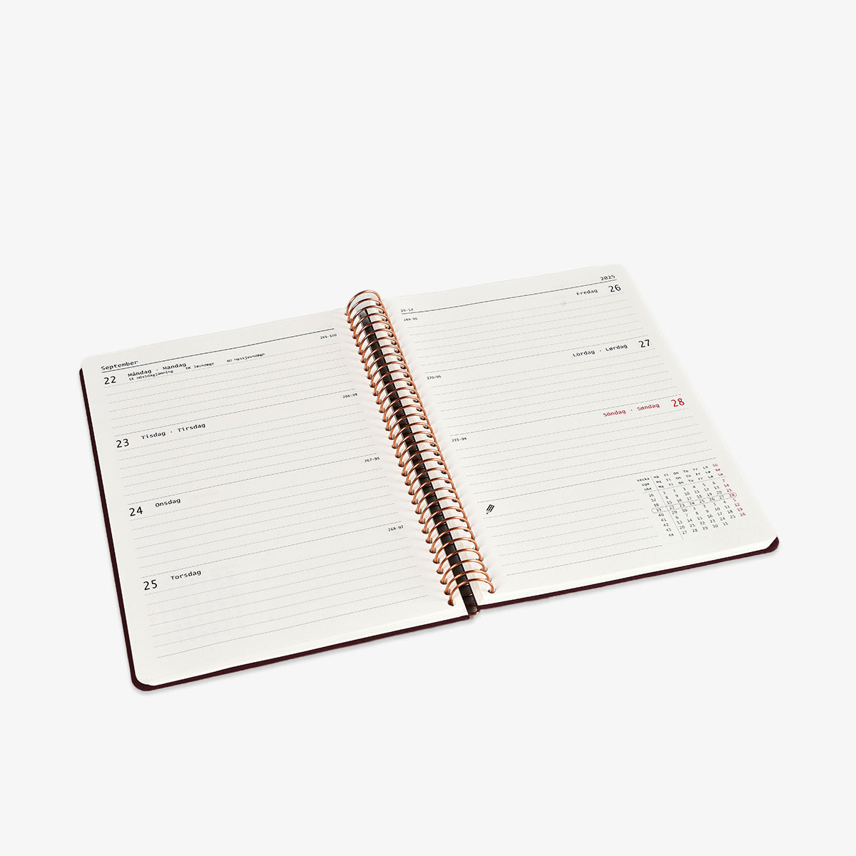 KOZO SPIRALBUNDEN KALENDER 2025 A5 // ALOE VERA