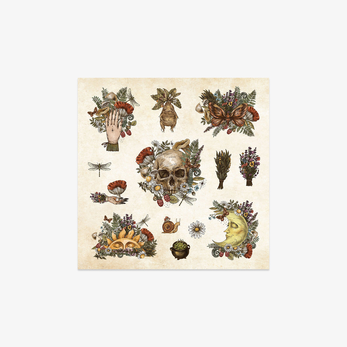 STICKER BOOK // MYSTICAL EPHEMERA!