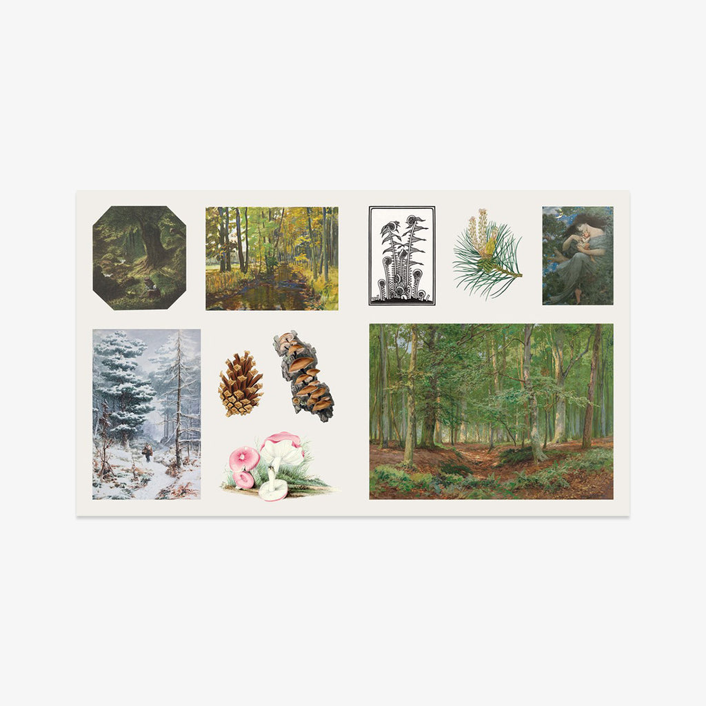 KLISTERMÆRKEBOG // WOODLAND ADVENTURES