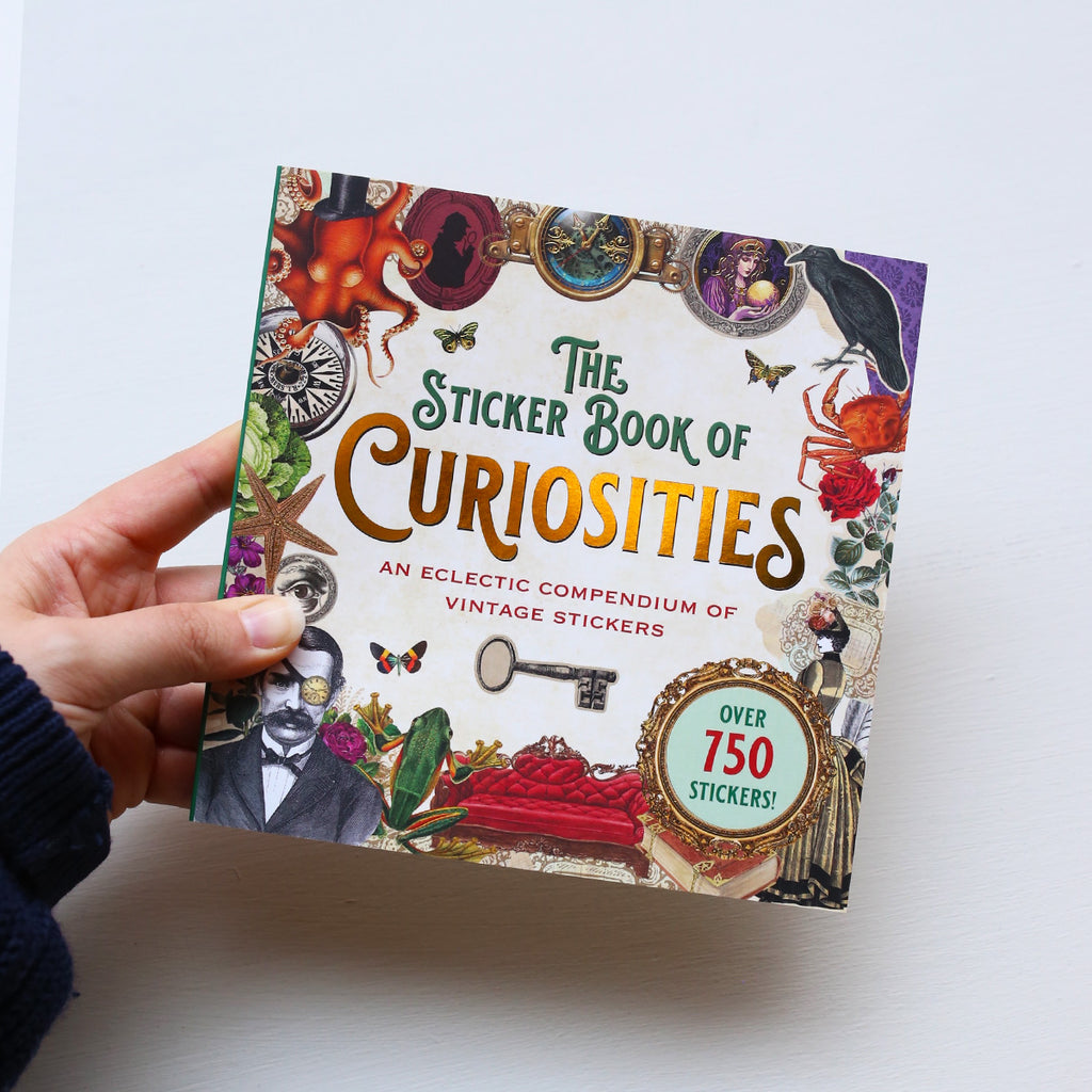 KLISTERMÆRKEBOG // BOOK OF CURIOSITIES