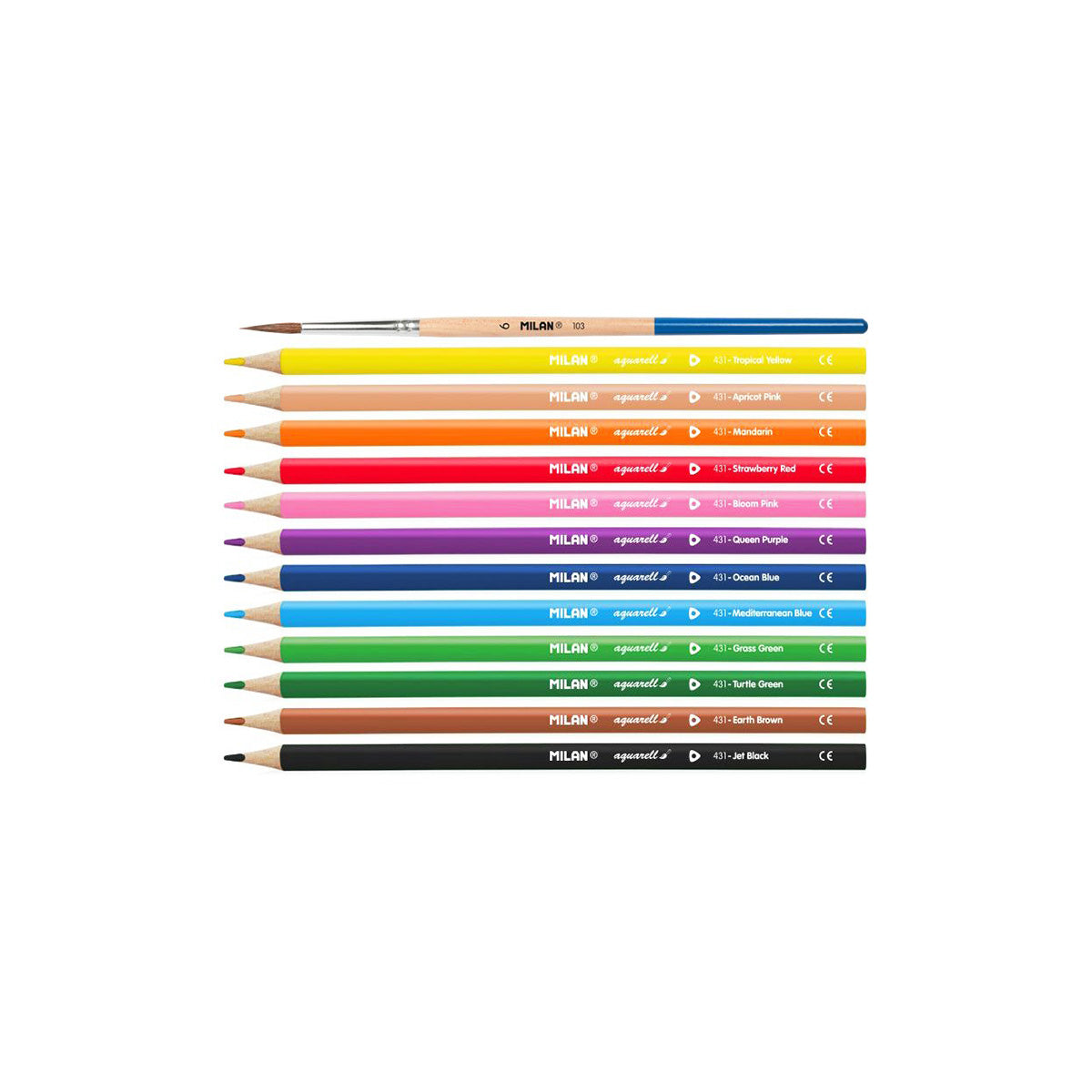 WATER SOLUBLE COLOUR PENCILS // SET OF 12
