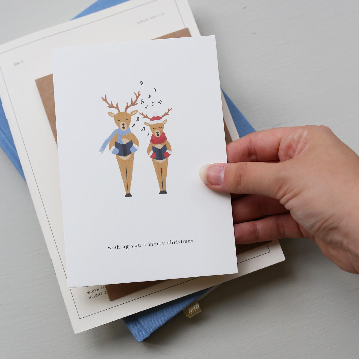 KORT // REINDEER