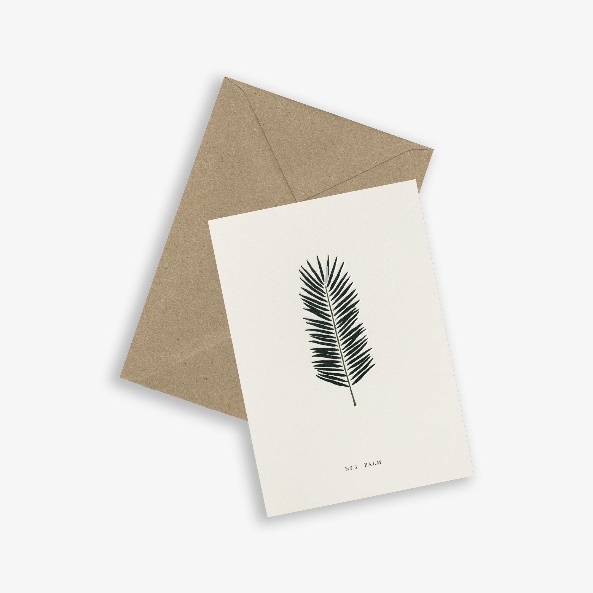 KORT // PALM