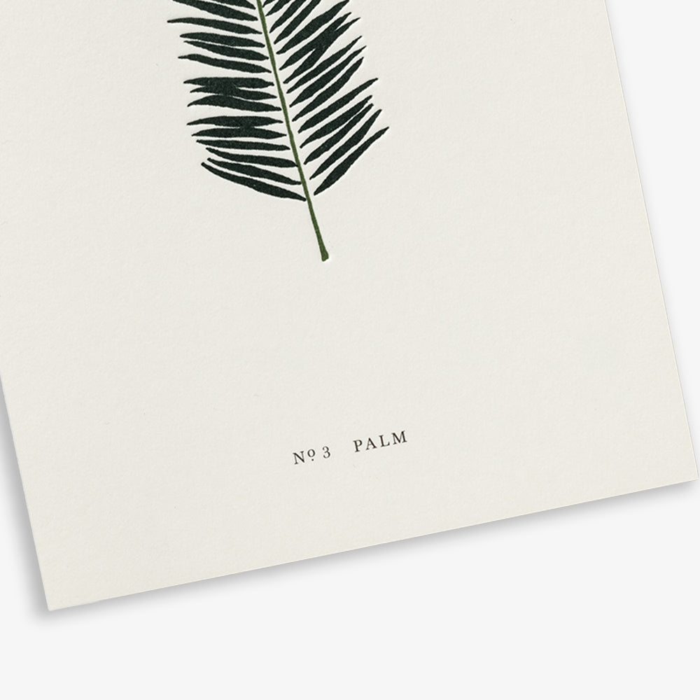KORT // PALM