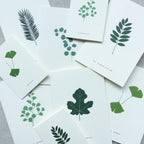LILLE KORT A7 // GINKGO