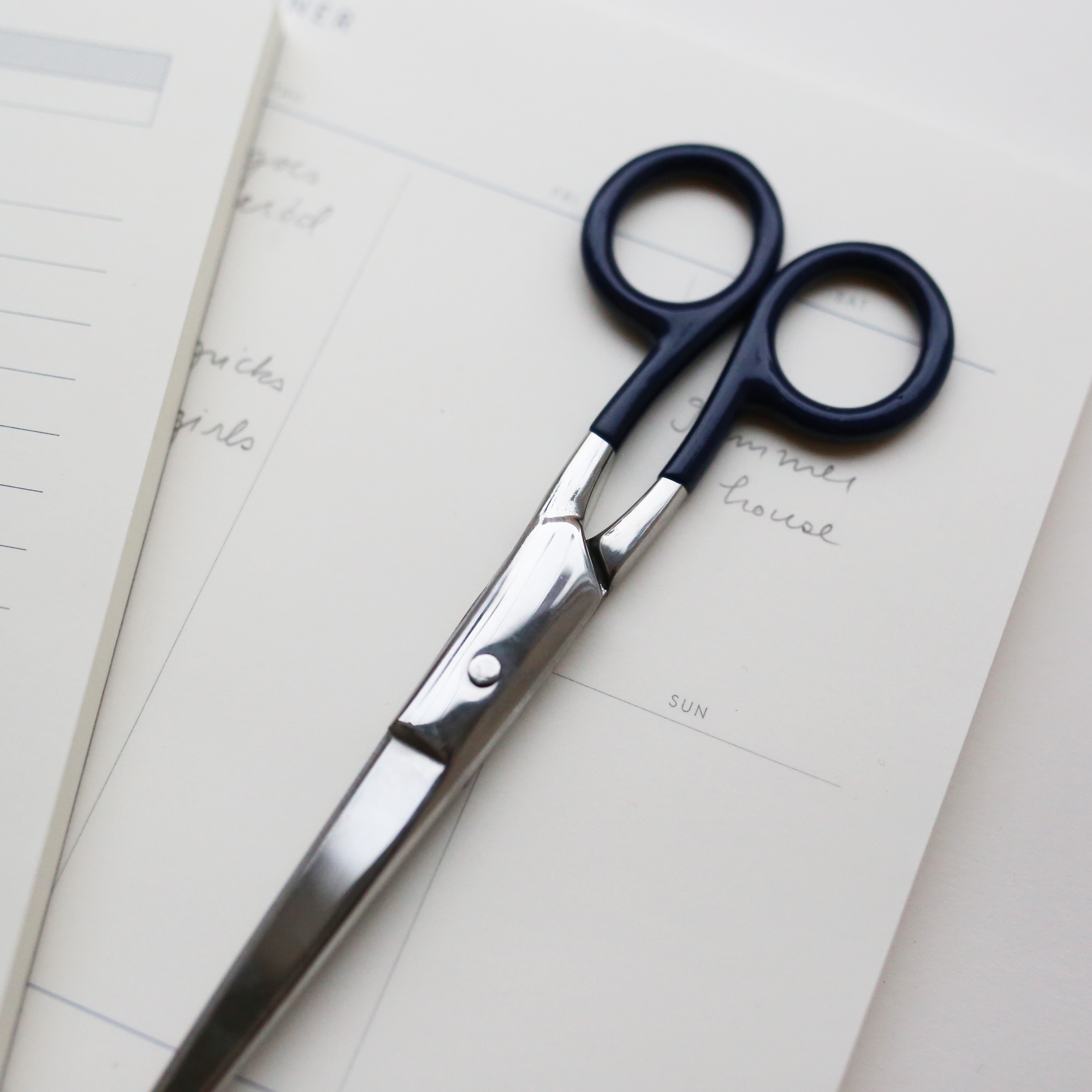 STAINLESS STEEL SCISSORS L // NAVY