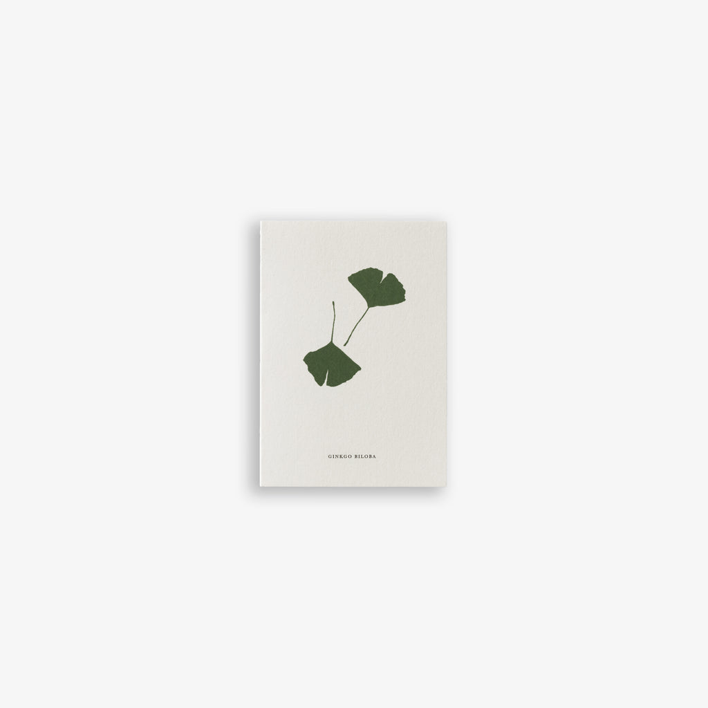 LILLE KORT A7 // GINKGO