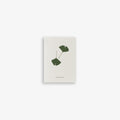 LILLE KORT A7 // GINKGO