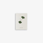 LILLE KORT A7 // GINKGO