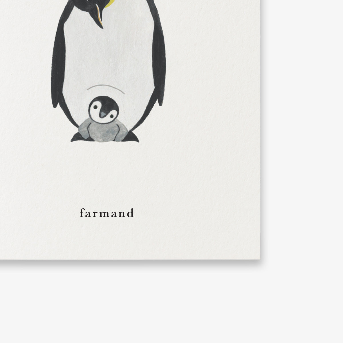 LILLE KORT // FAR