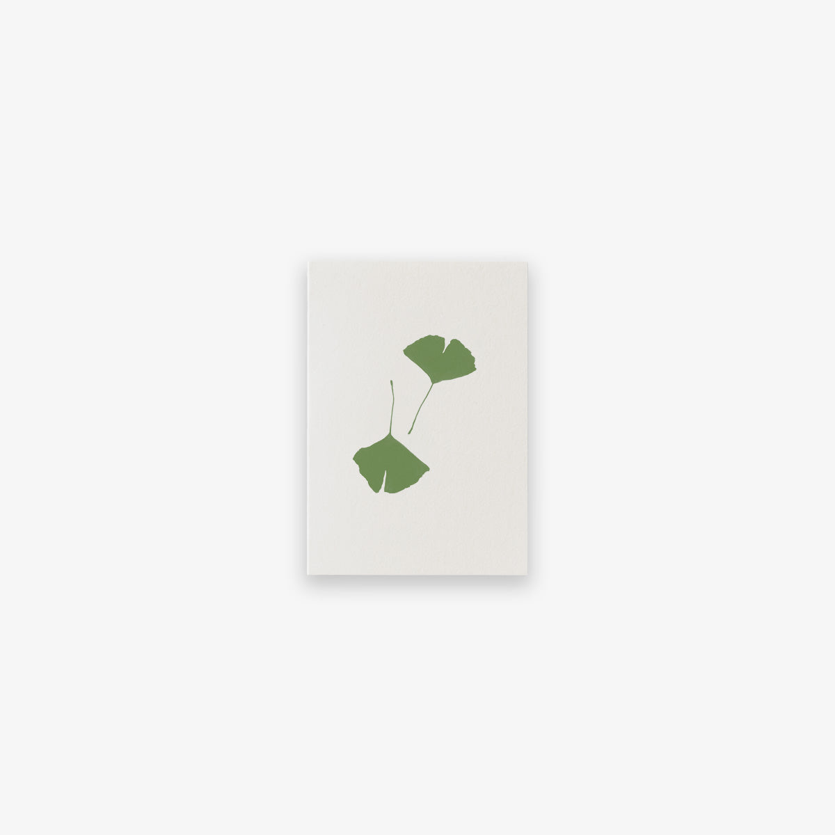 LILLE KORT // GINKGO II