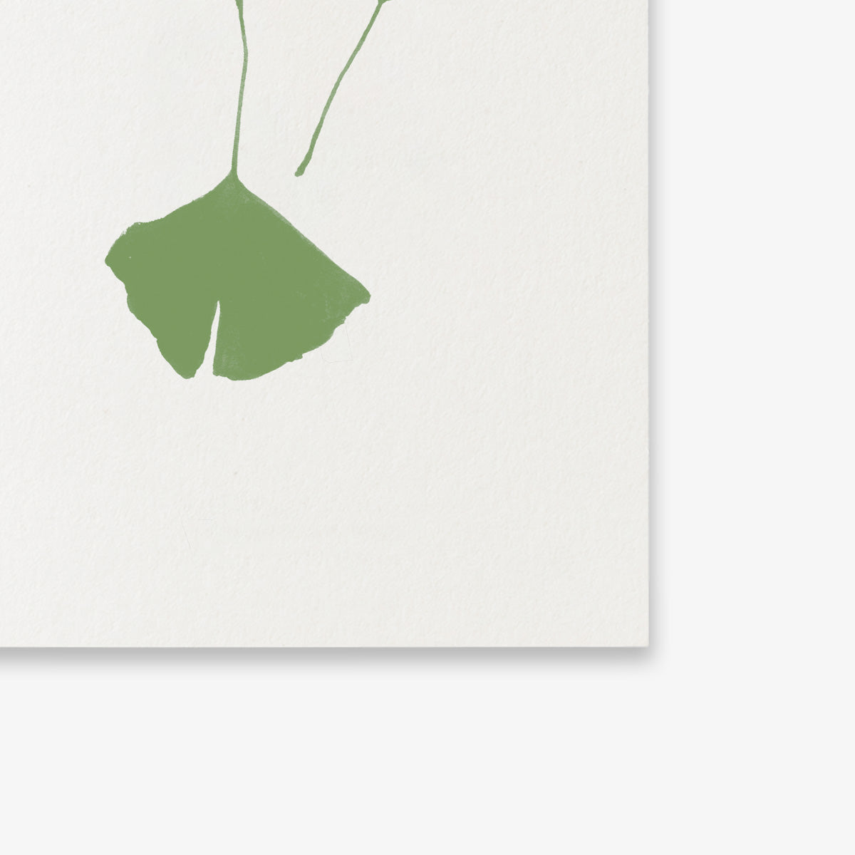 LILLE KORT // GINKGO II